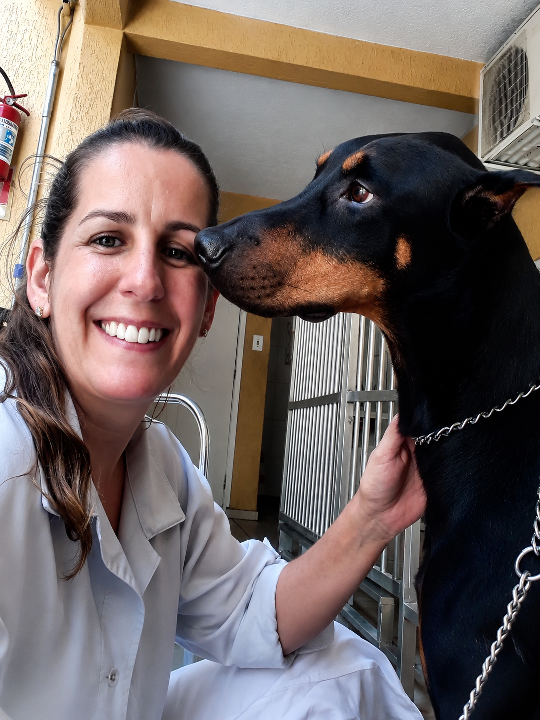 Dra. Leda — veterinária especialista em felinos na Clínica São Francisco em Guarulhos